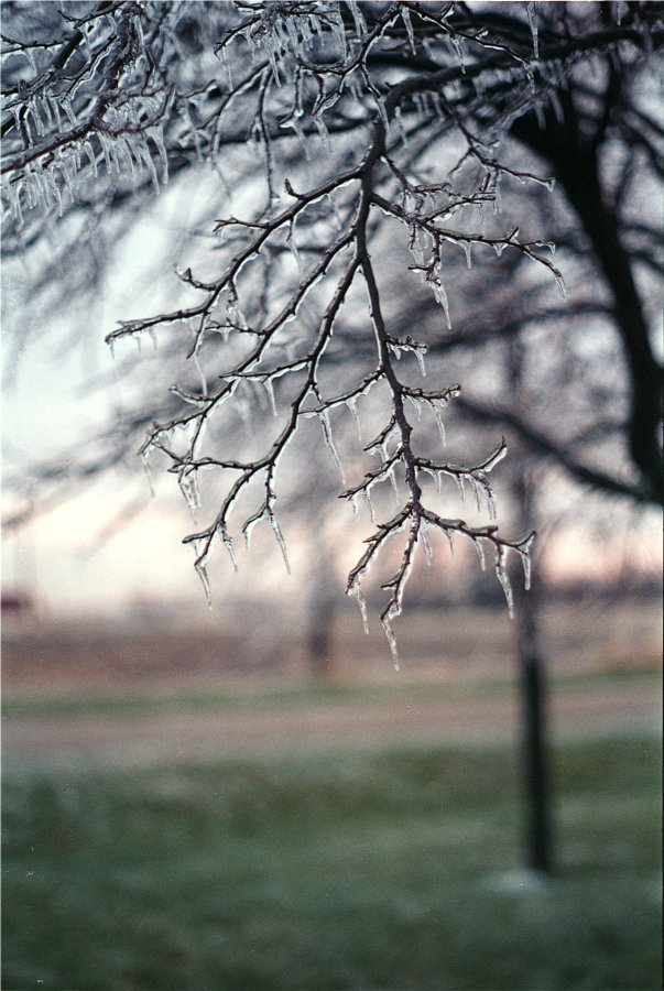 Ice Storm