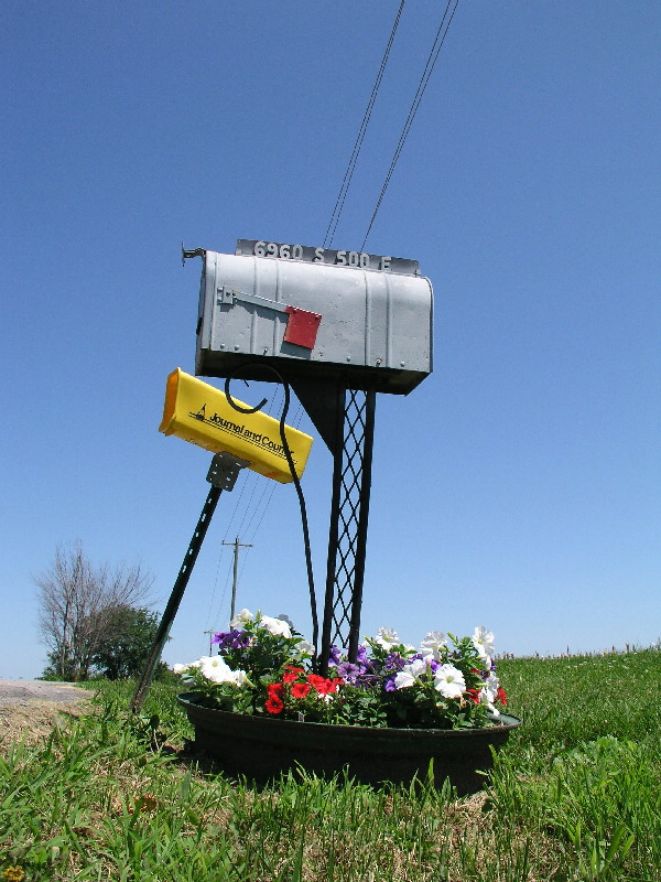 Mailbox with Petunias