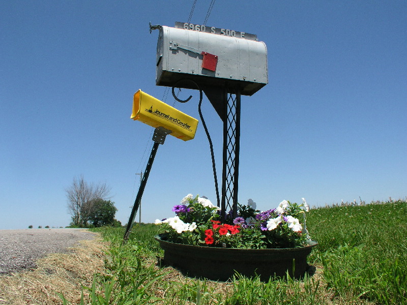 mailbox with petunias