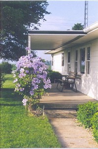 June Clematis