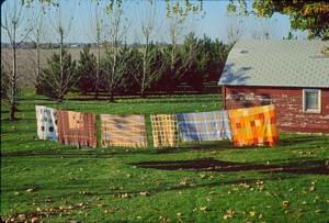 Backyard Autumn