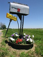mailbox with petunias