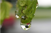 Car Reflected in Raindrop