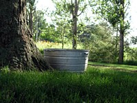 Water Trough Under Tree