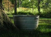 Water Trough Under Tree