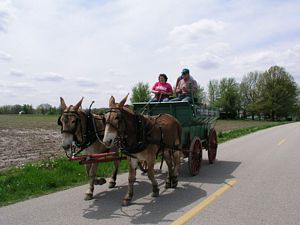 A Wagon Ride with Kate and Annie