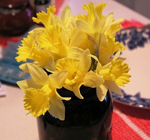 My First Daffodils