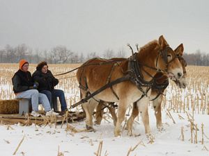 Kate and Annie go on a sled ride