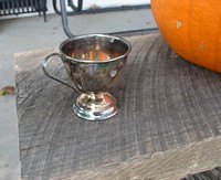 Nickel Punch Cup