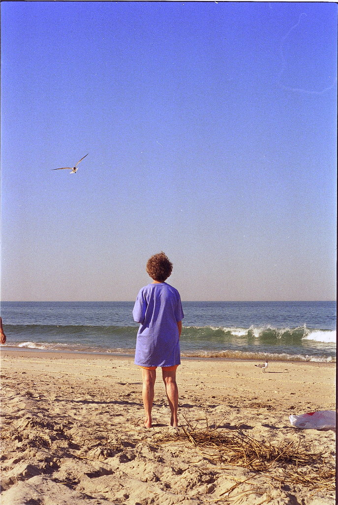 Mom feeds Sea Gull