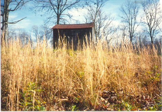 Tobacco Barn