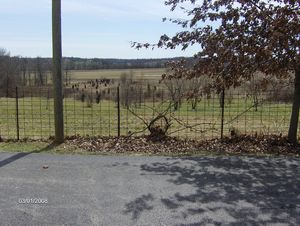 Country WIndow