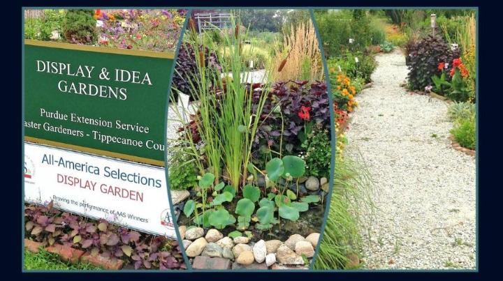 Tippecanoe-County-Extension and Community Gardens