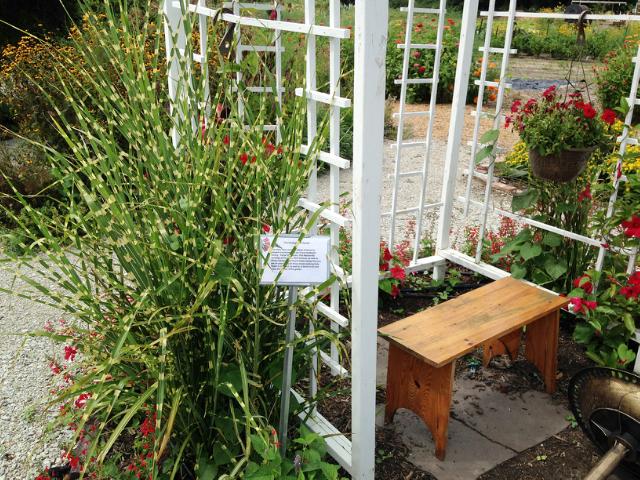 Hummingbird Haven Display in Tippecanoe County Extension Master Gardeners' Show and Idea Gardens