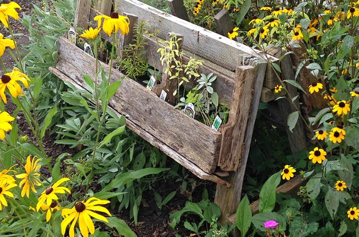 A pallet herb garden attached to a saw horse in Tippecanoe-County-Extension Master-Gardeners' Show and Idea Gardens