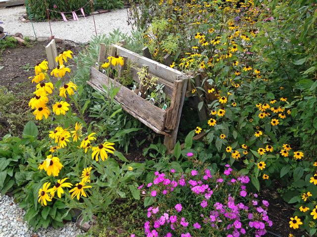 A pallet herb garden attached to a saw horse in Tippecanoe-County-Extension Master-Gardeners' Show and Idea Gardens