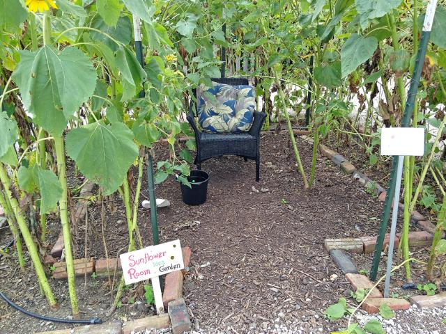 Sunflower Room Entrance in Tippecanoe-County-Extension Master-Gardeners' Show and Idea Gardens