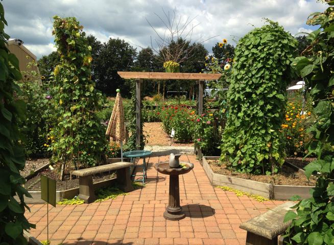 Kitchen Garden in Tippecanoe-County-Extension Master-Gardeners' Show and Idea Gardens