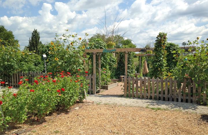 Rear Entrance to Kitchen Garden in Tippecanoe-County-Extension Master-Gardeners' Show and Idea Gardens