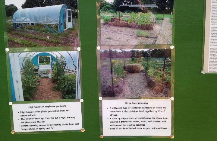 Information on Hoophouse gardening and Straw Bale gardening in Tippecanoe-County-Extension Master-Gardeners' Show and Idea Gardens