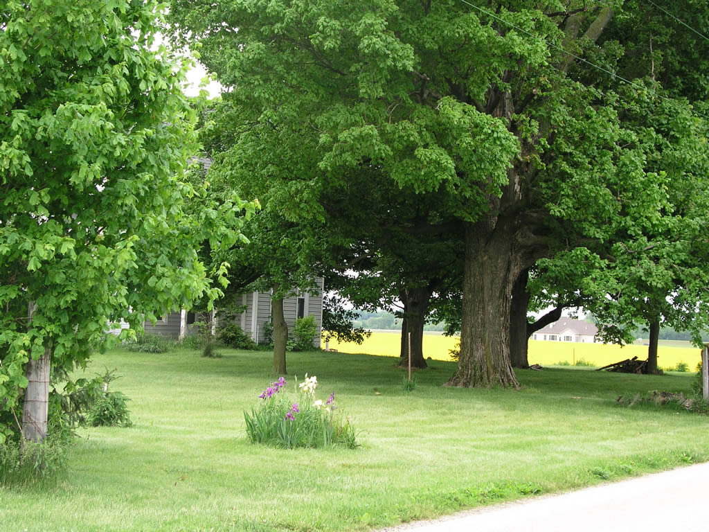 Country Home in May