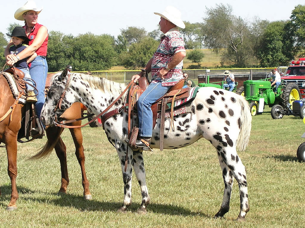 Appaloosa and Rider