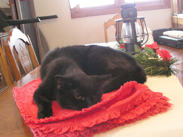 Christmas Cat Centerpiece