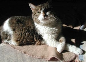 Kitty Arch in sun